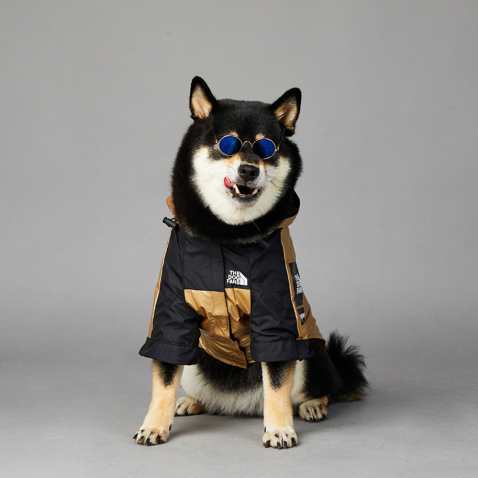 Luxury Dog Puffer Jacket – Style Meets Comfort - Pet Bliss