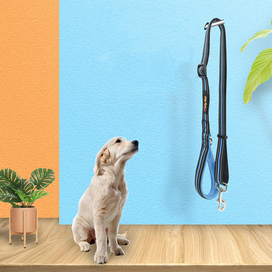 Reflective Dual-Handle Dog Leash – Control & Comfort in One! - Pet Bliss