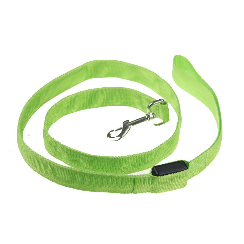 LED Light-Up Dog Leash – Safety & Style for Night Walks! - Pet Bliss