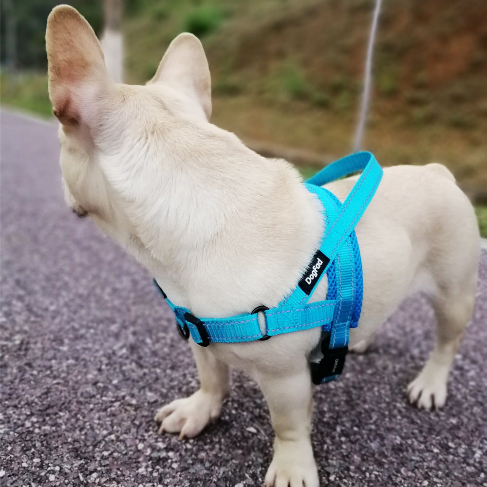 No-Pull Adjustable Dog Harness & Leash Set – Comfort & Control! - Pet Bliss